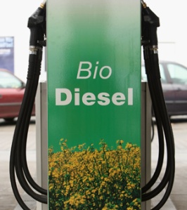 Germany Drops Biofuel Plans